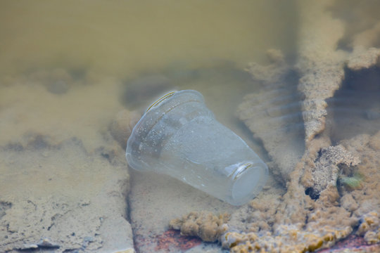 plastic glass in water, pollution of nature