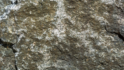 grey green stone lying in the Park day