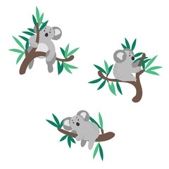 Cute koala bear set climbing on eucalyptus tree vector clipart. © YoPixArt