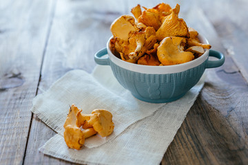 Autumn mushrooms, cook in a pan, chanterelles