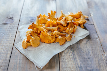 Autumn mushrooms, cook in a pan, chanterelles