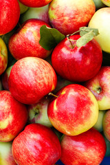 Fototapeta na wymiar Colorful red apples background