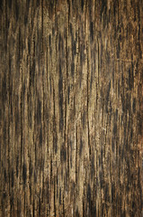 Brown grunge wood texture