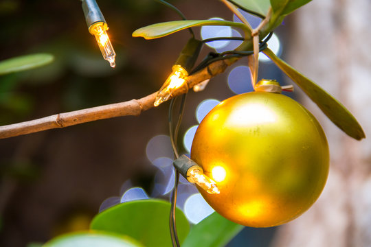 Bola De Natal E Luzes, Christmas  Decoration