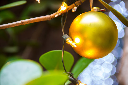 Bola De Natal E Luzes, Christmas  Decoration