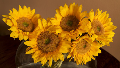 Sunflowers in a glass vase 