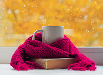 Autumn still life - Warm knitted scarf and cup of tea near a window, copy space.