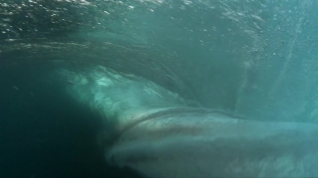 View of breaking wave, underwater POV