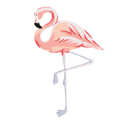Tropical pink flamingo bird stand on one leg isolated on white background. Vector illustration. Paradise nature. Summer beach design. Drawn element
