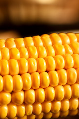 yellow sweet corn grain and a cob in the background.