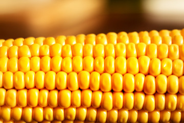 yellow sweet corn grain and a cob in the background.