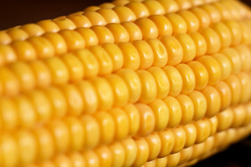 yellow sweet corn grain and a cob in the background.
