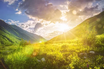 Poster Sunny mountains landscape. Mountain range and yellow sunlight on grassy hills. Amazing sunset in highlands. Svaneti nature scenery. Vivid sun over beautiful wild nature. Vibrant landscape. © dzmitrock87