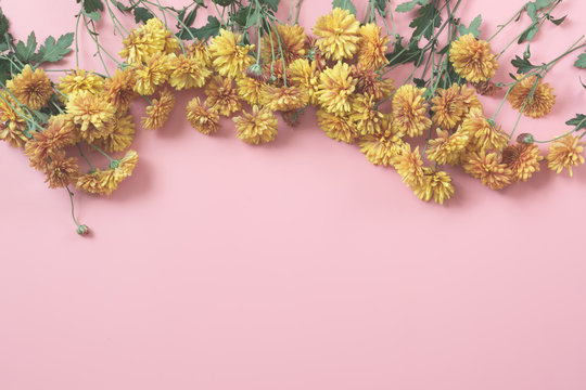 Fototapeta Golden-daisy flowers as border on pastel pink background. Floral pattern. Fall.