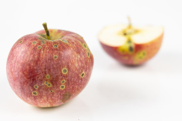 Tasty and ripe apple on the kitchen table. Sweet fruits from central europe.