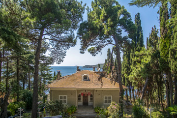 Buyukada Island street view. Coach and Horses at Buyukada, Princes Islands district of Istanbul