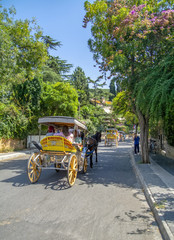 Buyukada Island street view. Coach and Horses at Buyukada, Princes Islands district of Istanbul