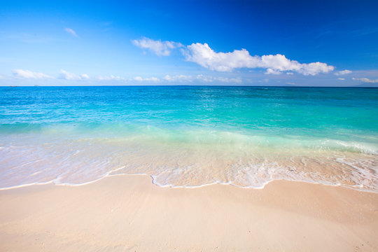 beach and beautiful tropical sea