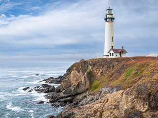 Fototapeta na wymiar Pigeon Point Lighthouse