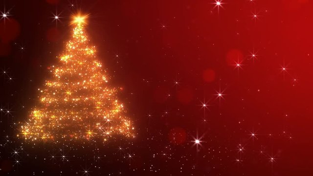 Merry Christmas  Greeting Card
