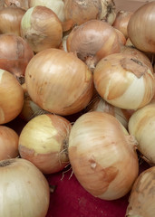 onions in the market