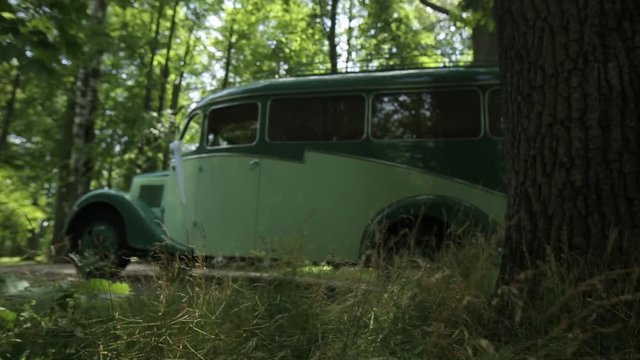 Vintage white car with black On an asphalt road in a green forest