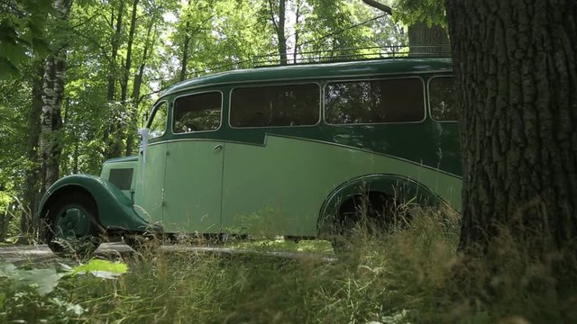 Vintage white car with black On an asphalt road in a green forest