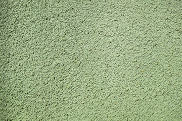 Textured surface coat plaster walls with mint shade