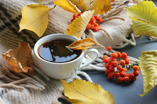 Still life, Autumn morning with a Cup of tea. A Cup of tea on a plaid background, surrounded by yellow leaves, red viburnum berries. The sincere warmth, family warmth, weekend, relax.