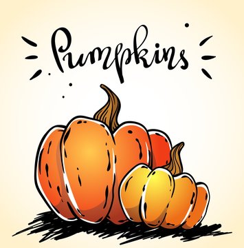 Vector hand drawn pumpkins image with a lettering inscription. Food sketch illustration for print, web, etc
