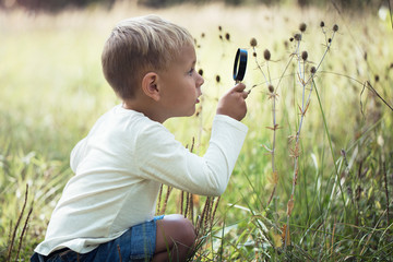 A small boy explores with a magnifying glass plants and insects - obrazy, fototapety, plakaty