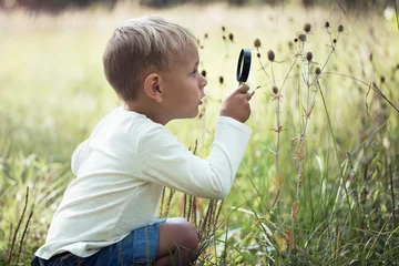 Foto op Aluminium A small boy explores with a magnifying glass plants and insects © TheFarAwayKingdom