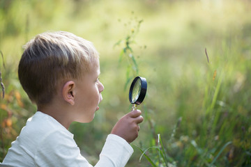 A small boy explores with a magnifying glass plants and insects