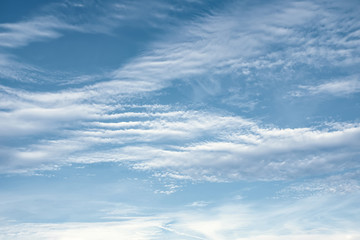 Naklejka na ściany i meble white clouds on azure sky
