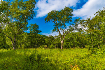Wildnis in Kamtschatka