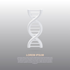 DNA helix with shadow. White 3d DNA spiral on white background. Vector illustration EPS10.