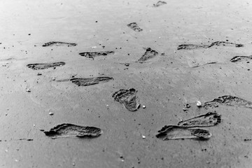 baby footprints footprint on the wet sand of the ocean