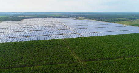 champs de panneaux solaire dans une ferme solaire - 223446174
