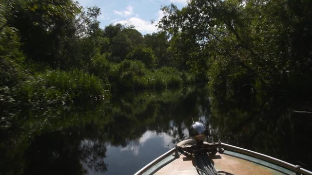 Bow of a ship cruising on a river through the jungle of borneo