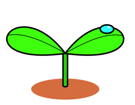 発芽葉脈土水滴ツヤ(色)