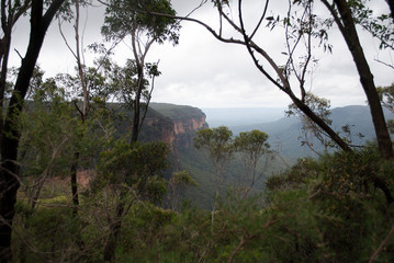 fog on the mountains