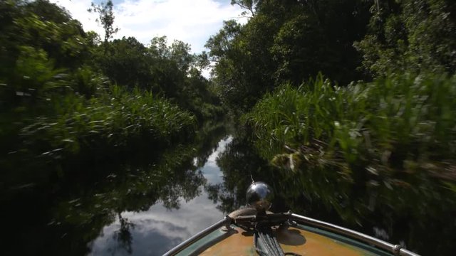 Motor Boats Bow floating on a river through the jungle in Borneo