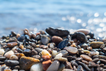 Multicolored sea pebbles on seashore / Beautiful wet multicolored sea pebbles on beach