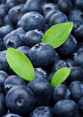 Fresh raw organic blueberries with leaf in pile. Macro close up