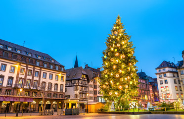 Fototapeta na wymiar Christmas tree on Place Kleber in Strasbourg, France