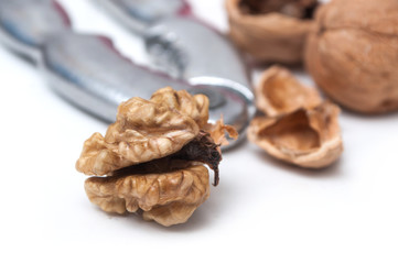 closeup of walnuts and Nutcracker.on white background