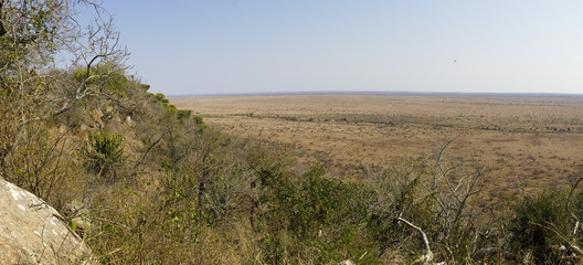 Landscape in Kruger National Park - dry river