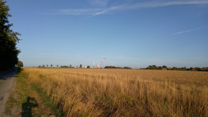 Obraz premium Feld 11