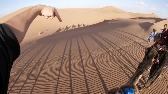 Group rides camel in desert, POV