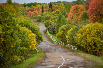 rural road in autumn forest